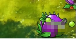 澳门威尼斯人wns888整合版中文版 澳门威尼斯人wns888融合版全部植物合体